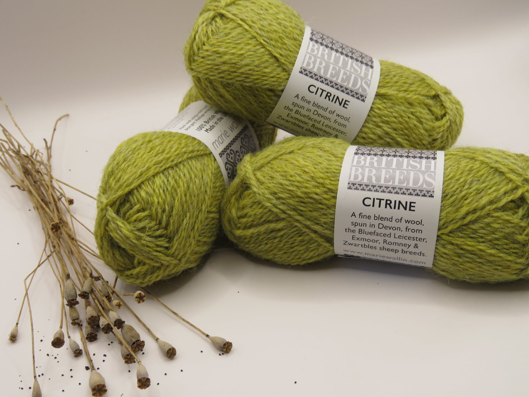 Marie Wallin - British Breeds - Citrine