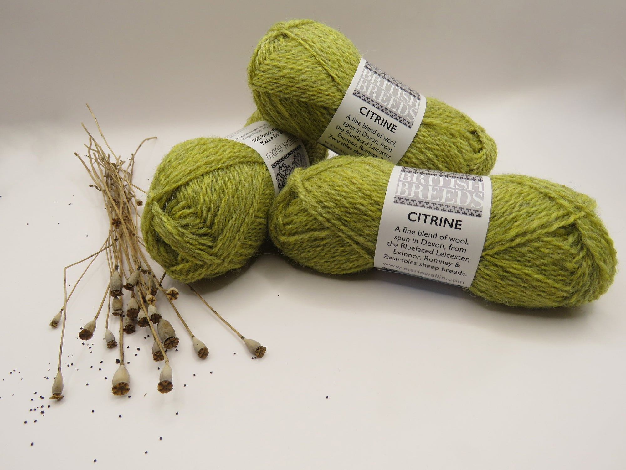 Marie Wallin - British Breeds - Citrine