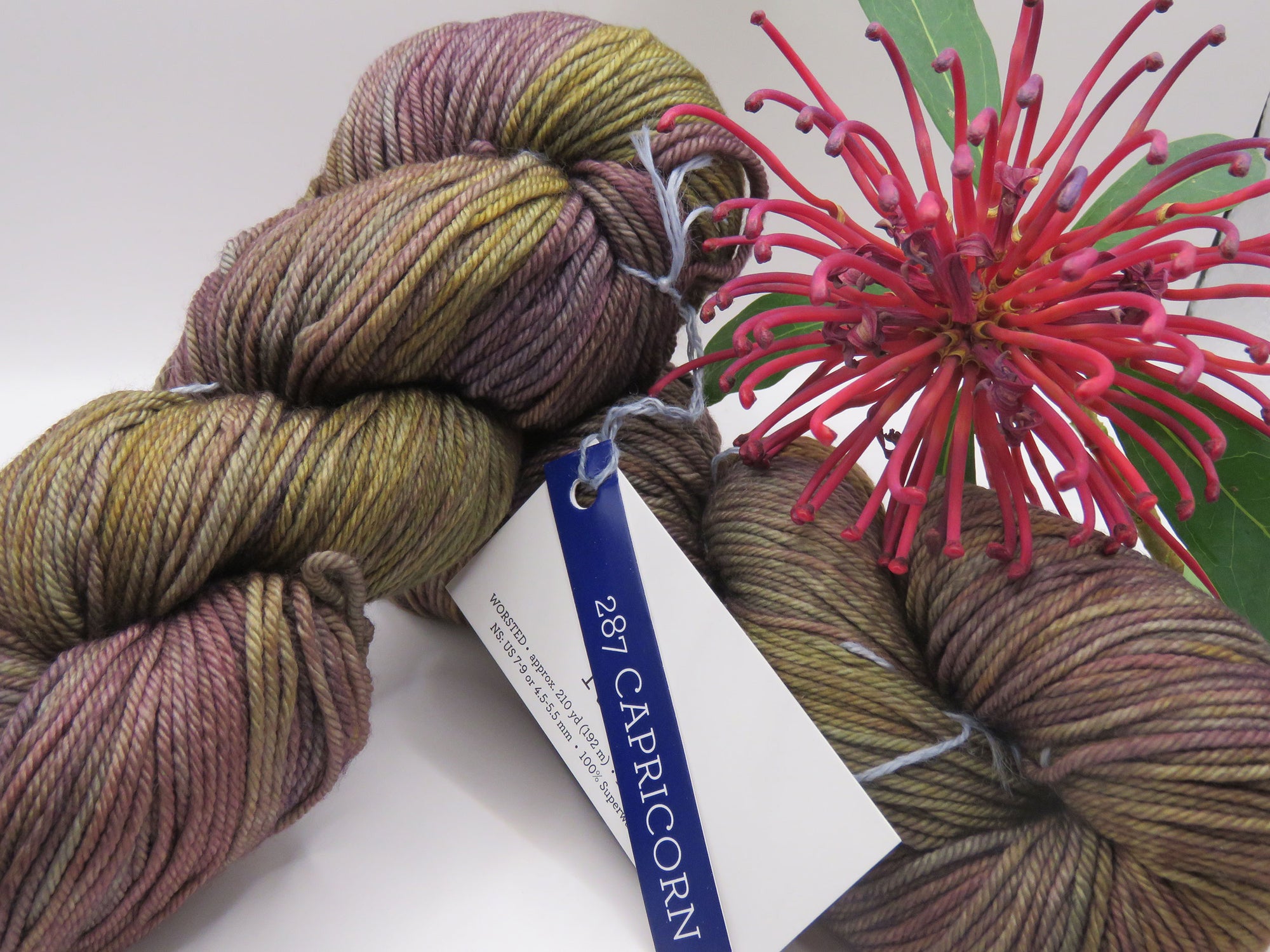 Malabrigo – Rios – Capricorn 287 – Worsted 100% Superwash Merino Wool