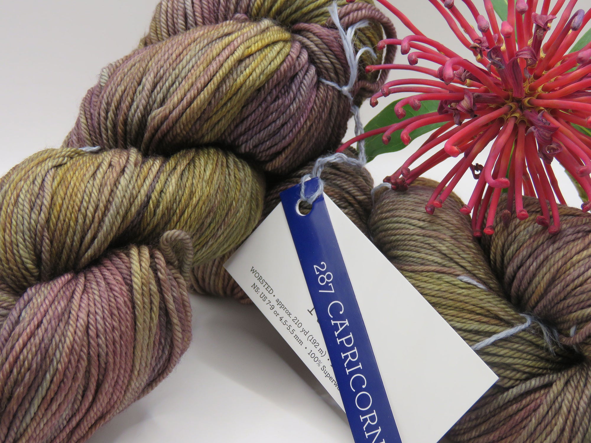 Malabrigo – Rios – Capricorn 287 – Worsted 100% Superwash Merino Wool