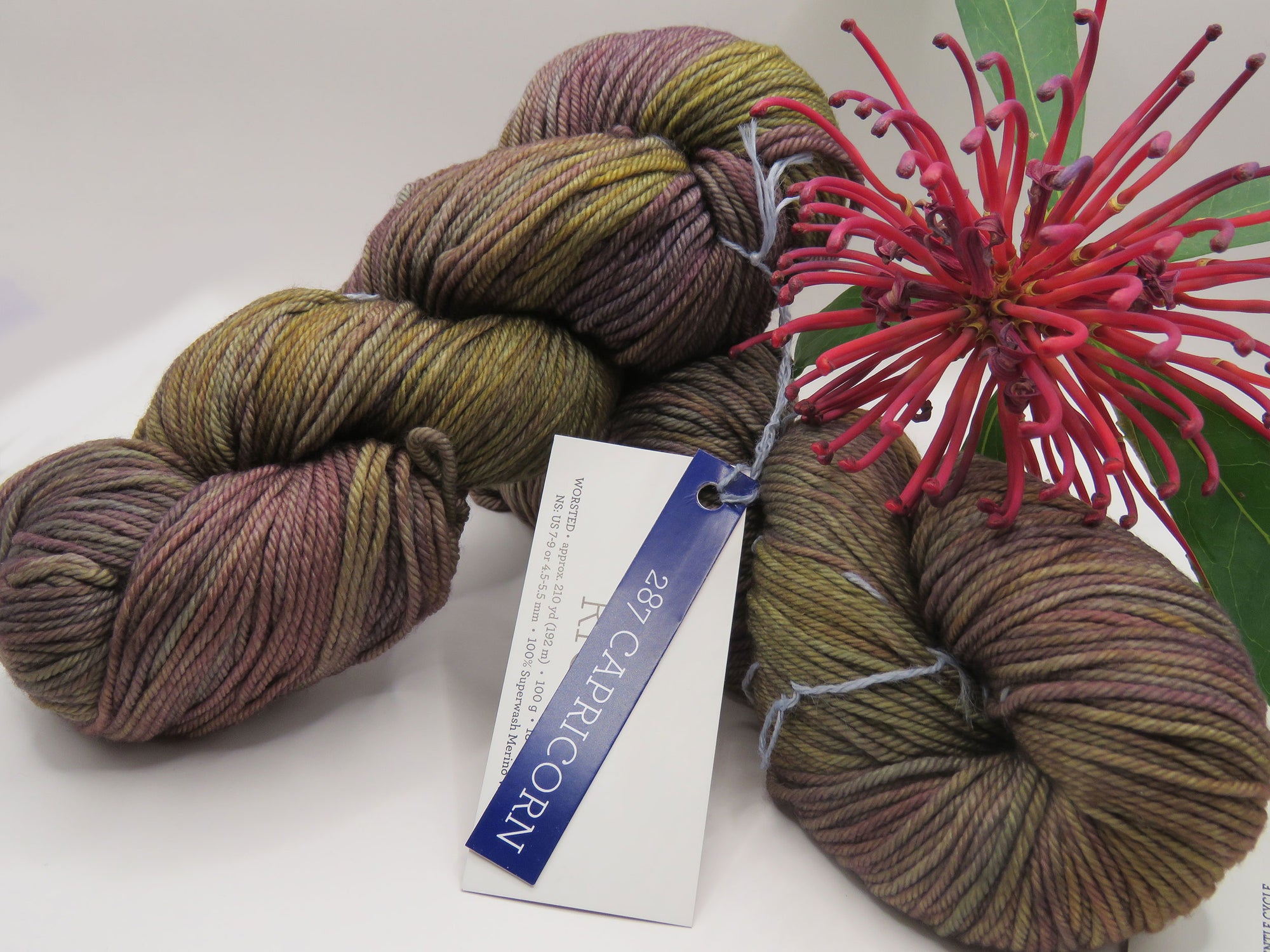 Malabrigo – Rios – Capricorn 287 – Worsted 100% Superwash Merino Wool