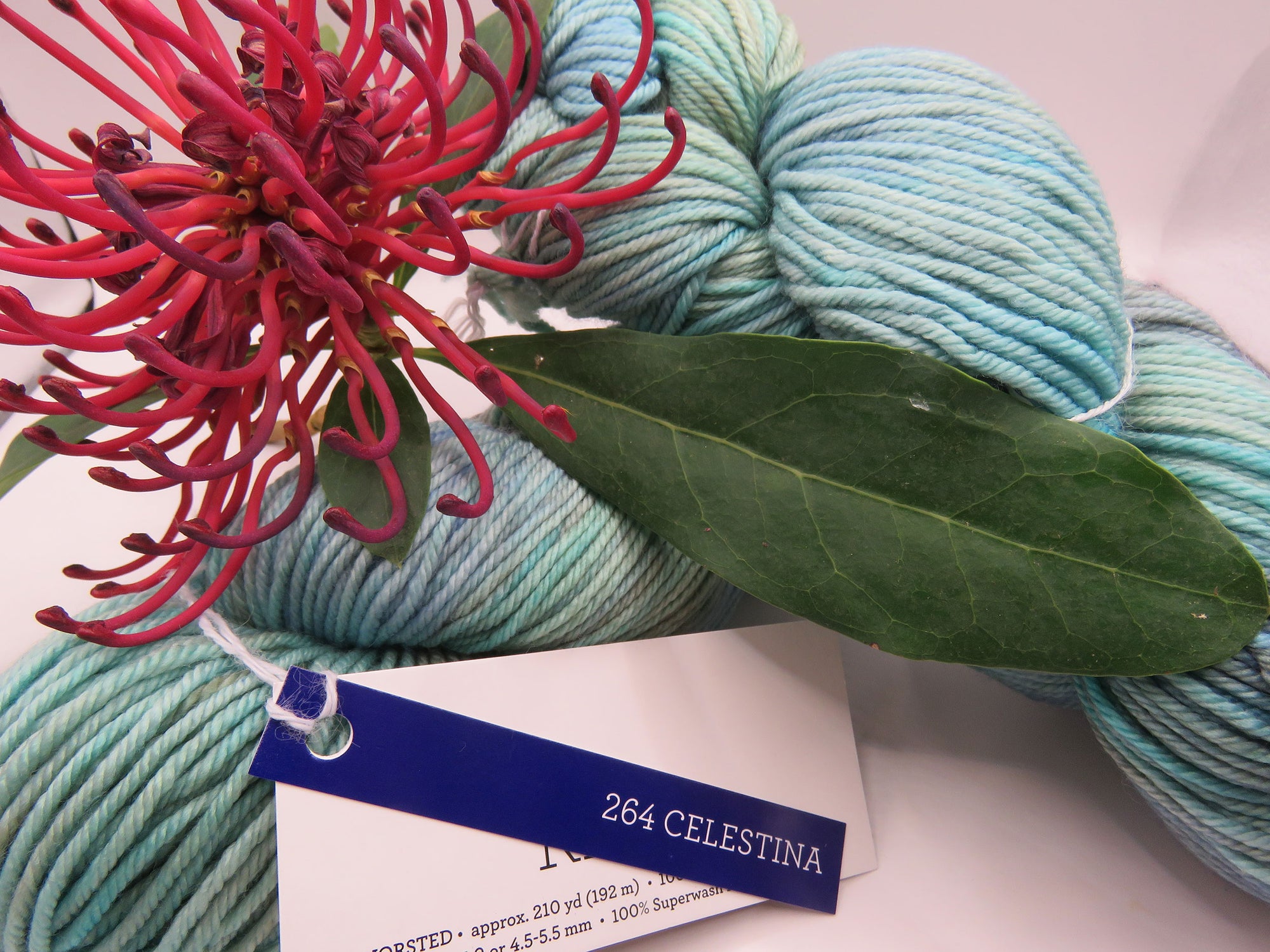 Malabrigo – Rios – Celestina 264 – Worsted 100% Superwash Merino Wool
