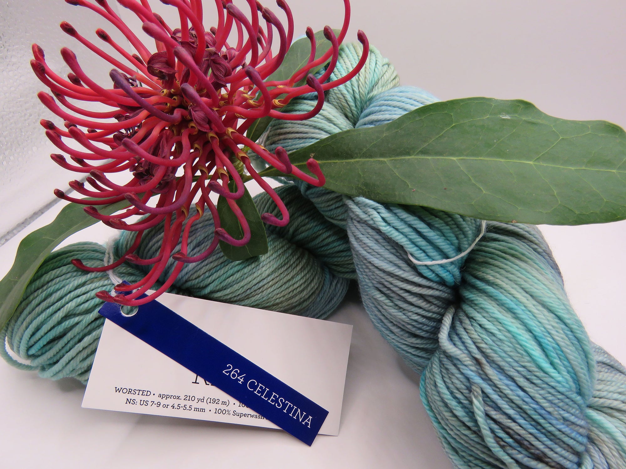 Malabrigo – Rios – Celestina 264 – Worsted 100% Superwash Merino Wool