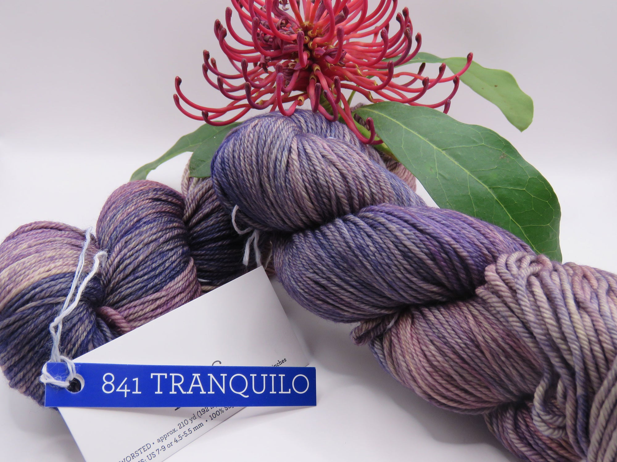 Malabrigo – Rios – Tranquilo 841 – Worsted 100% Superwash Merino Wool