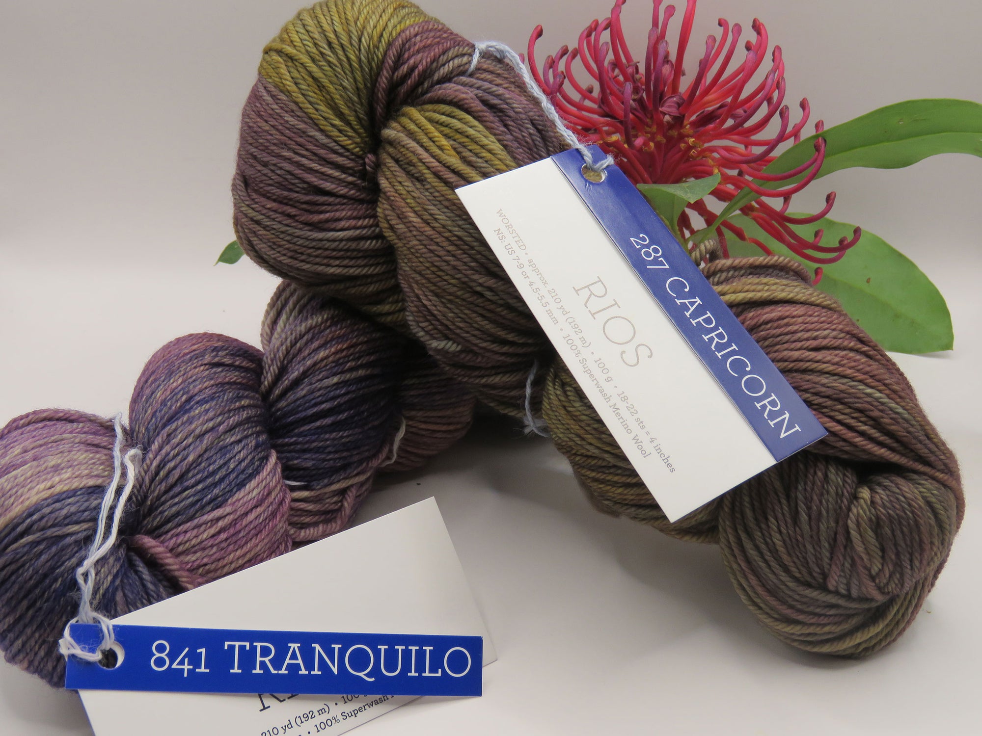 Malabrigo – Rios – Tranquilo 841 – Worsted 100% Superwash Merino Wool
